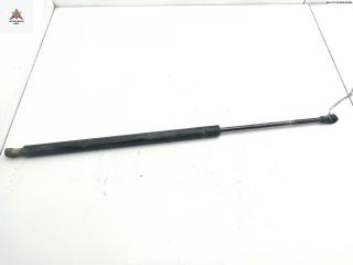 амортизатор крышки багажника (3-5 двери) BMW X5 E53 2001, 3.0 л., бензин, АКПП, зелёный, внедорожник 5 дв., 51248142405