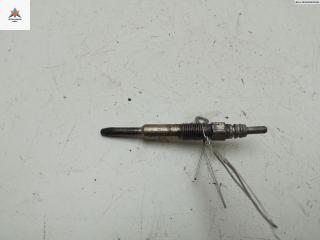 свеча накала Volvo S40 1 поколение [рестайлинг] 2002, 1.9 л., дизель, МКПП, красный, универсал, 0250202022