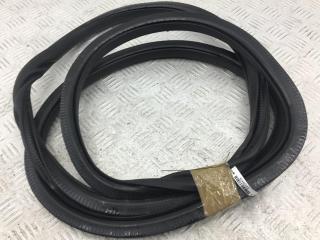 уплотнитель двери Volkswagen Tiguan 1 поколение 2009, 2.0 л., дизель, МКПП, чёрный, внедорожник 5 дв.
