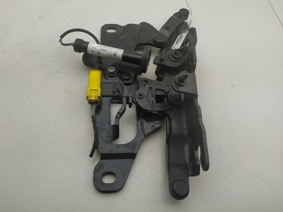 петля капота левая BMW 5 F10/F11 2013, синий, универсал, 7249887, 7263055