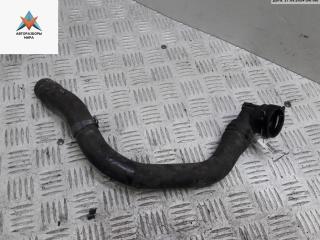 патрубок радиатора Volkswagen Golf 5 поколение 2008, 1.9 л., дизель, BLS