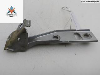 петля капота левая Volkswagen Bora 1 поколение 2000, серый, седан, 1J0823301