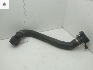 патрубок радиатора Fiat Bravo 2 поколение 2008, 1.6 л., дизель