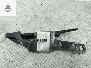 петля капота правая BMW X3 E83 2005, чёрный, внедорожник 5 дв.