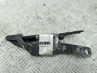 петля капота правая BMW X3 E83 2005, чёрный, внедорожник 5 дв.
