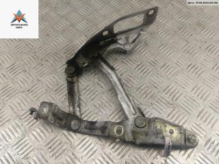 петля капота правая Audi TT 8N 2000, серый, купе, 8N0823301