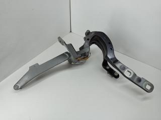 петля крышки багажника BMW 5 F10/F11 2013, синий, универсал, 7206640, 17120310