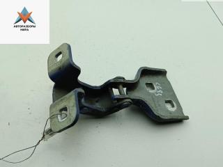 петля двери Renault Master 3 поколение 2011, синий, микроавтобус