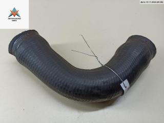 патрубок радиатора BMW 5 серия E39 1998, 2.5 л., бензин, 1720678