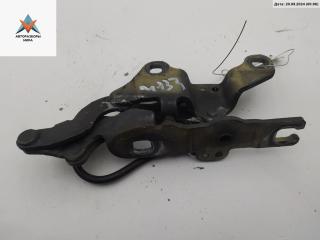 петля капота левая BMW 1 серия E81/E82/E87/E88 2005, серый, хетчбэк 5 дв., 7060559