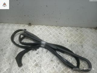 Молдинг стекла двери передней левой внутренний Renault Trafic 3 поколение 2015, 1.6 л., дизель, МКПП, белый, микроавтобус