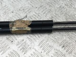 амортизатор крышки багажника (3-5 двери) Ford Focus 2 поколение [рестайлинг] 2008, 1.8 л., бензин, МКПП, красный, хетчбэк 5 дв., 8M51A406A10AB