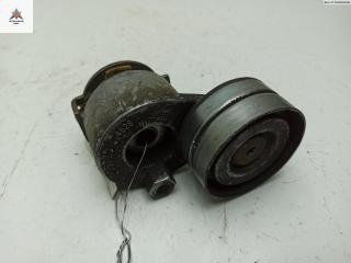 механизм натяжения ремня, цепи Renault Scenic 2 поколение 2003, 1.9 л., дизель, МКПП, красный, минивэн, 905328