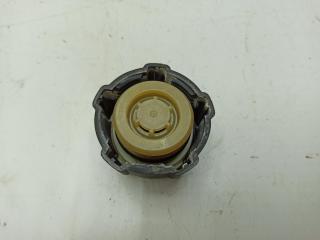пробка расширительного бачка Renault Megane 1 поколение [рестайлинг] 2002, 1.4 л., бензин, МКПП, синий, хетчбэк 5 дв.