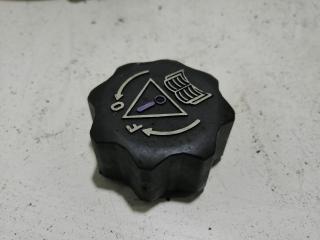 пробка расширительного бачка Peugeot 206 2005, 1.6 л., дизель, МКПП, серый, кабриолет, 00001306E4