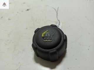 пробка расширительного бачка Renault Laguna 2 поколение [рестайлинг] 2006, 1.9 л., дизель, МКПП, серый, универсал