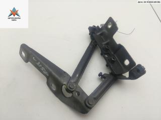 петля капота правая Opel Insignia 1 поколение (A) 2010, серый, хетчбэк 5 дв., 12841601