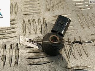 датчик детонации Volkswagen Sharan 1 поколение [рестайлинг] 2000, 1.8 л., бензин, МКПП, синий, минивэн