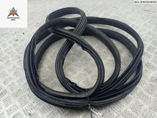 уплотнитель двери Ford B-max 1 поколение 2013, 1.5 л., дизель, МКПП, белый, минивэн