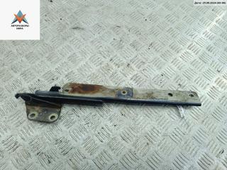 петля капота правая Kia Carnival UP/GQ [рестайлинг] 2003, синий, минивэн