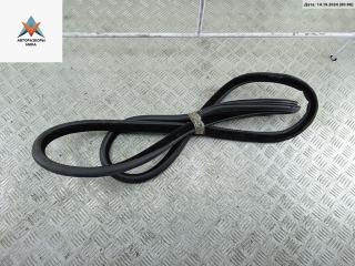уплотнитель двери BMW 5 серия F07/F10/F11 2012, 2.0 л., дизель, АКПП, белый, универсал