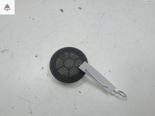 Сетка (решетка) динамика Opel Zafira 1 поколение (A) 1999, 1.8 л., бензин, МКПП, синий, минивэн, 90580278