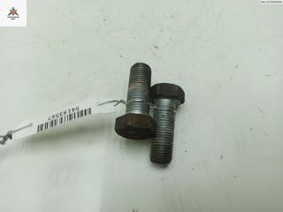 Болт крепления Renault Laguna 2 поколение 2002, 1.8 л., бензин, МКПП, серый, хетчбэк 5 дв.