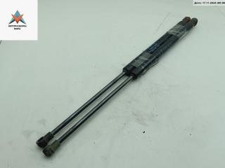 амортизатор крышки багажника (3-5 двери) Volkswagen Fox 2 поколение [рестайлинг] 2006, 1.2 л., бензин, МКПП, серый, хетчбэк 3 дв., 5Z6827550B