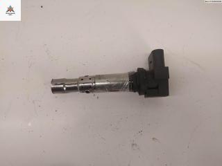 катушка зажигания Skoda Fabia 1 поколение (6Y) [рестайлинг] 2006, 1.4 л., бензин, МКПП, серый, хетчбэк 5 дв., 036905715