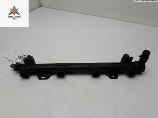 топливная рампа Volkswagen Golf 5 поколение 2004, 1.4 л., бензин, МКПП, чёрный, хетчбэк 3 дв.