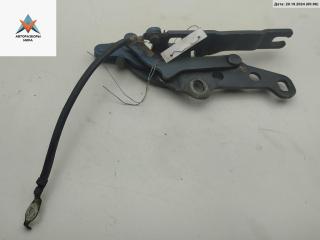 петля капота левая BMW Z4 E85 2003, синий, кабриолет, 7016171