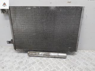 радиатор кондиционера Mercedes-Benz B-Класс W245 2005, 1.5 л., бензин, МКПП, серый, минивэн, 1695000054