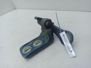 петля двери Opel Signum 2006, синий, хетчбэк 5 дв., 269