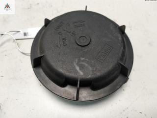 Крышка (заглушка) задняя фары Renault Scenic 1 поколение [рестайлинг] 2001, 1.9 л., дизель, МКПП, синий, минивэн, 89001811