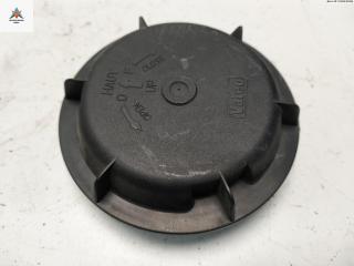 Крышка (заглушка) задняя фары Renault Scenic 1 поколение [рестайлинг] 2000, 1.4 л., бензин, МКПП, зелёный, минивэн, 89001811