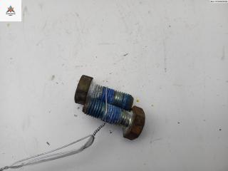 Болт крепления Opel Vectra B [рестайлинг] 1999, 2.0 л., дизель, МКПП, красный, универсал