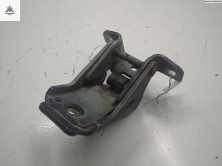 петля двери Ford Windstar 2 поколение 2000, синий, минивэн