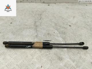 амортизатор крышки багажника (3-5 двери) Audi A4 B7 2007, 1.9 л., дизель, МКПП, серый, универсал, 8E9827552K