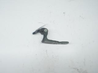 петля двери Ford Focus 2 поколение 2005, чёрный, хетчбэк 5 дв., 3M51R22800AE