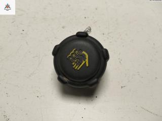 пробка расширительного бачка Renault Scenic 1 поколение [рестайлинг] 2002, 1.8 л., бензин, МКПП, серый, минивэн, 8200048024