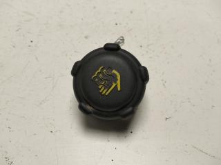 пробка расширительного бачка Renault Scenic I 2002, 1.8 л., бензин, МКПП, серый, минивэн, 8200048024