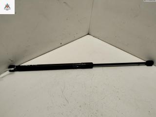 амортизатор крышки багажника (3-5 двери) Dacia (Renault) Sandero I 2009, 1.4 л., бензин, МКПП, красный, хетчбэк 5 дв., 8200119497