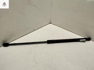 амортизатор крышки багажника (3-5 двери) Dacia (Renault) Sandero I 2009, 1.4 л., бензин, МКПП, красный, хетчбэк 5 дв., 8200119497