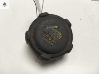 пробка расширительного бачка Renault Scenic 2 поколение [рестайлинг] 2007, 1.9 л., дизель, МКПП, серый, минивэн, 8200048024