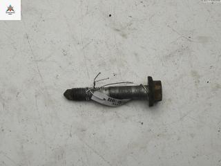 Болт крепления Citroen C4 Grand Picasso 1 поколение 2009, 2.0 л., дизель, АКПП, синий, минивэн