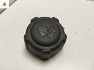пробка расширительного бачка Dacia (Renault) Logan 2006, 1.5 л., дизель, МКПП, синий, седан, 8200048024