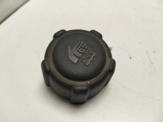 пробка расширительного бачка Dacia (Renault) Logan I 2006, 1.5 л., дизель, МКПП, синий, седан, 8200048024