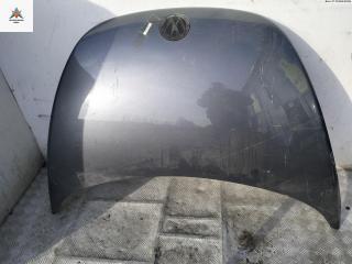 капот Volkswagen New Beetle 2008, 1.9 л., дизель, МКПП, серый, хетчбэк 3 дв.