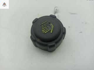 пробка расширительного бачка Renault Kangoo 1 поколение [рестайлинг] 2003, 1.6 л., бензин, МКПП, белый, фургон