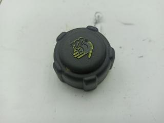 пробка расширительного бачка Renault Kangoo I 2003, 1.6 л., бензин, МКПП, белый, фургон